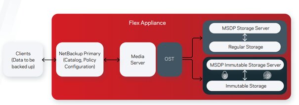 Veritas NetBackup - Flex Appliance - Verilerinizi Koruyun ve Yönetin -4